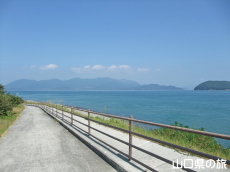 池の浦道路公園