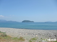 池の浦道路公園