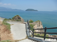 池の浦道路公園