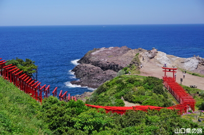 元乃隅神社
