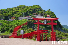 元乃隅神社