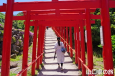 元乃隅神社