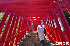 元乃隅神社