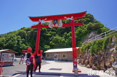 鳥居の上の賽銭箱
