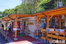 元乃隅売店