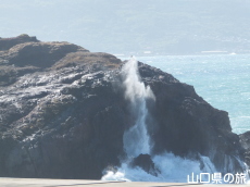 龍宮の潮吹