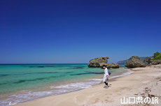 大浜海水浴