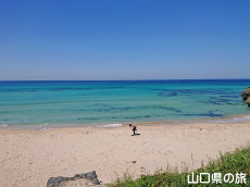 大浜海水浴