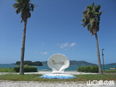 伊上海浜公園YYビーチ350