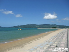 伊上海浜公園YYビーチ350