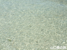 伊上海浜公園YYビーチ350