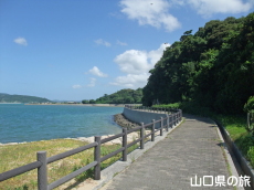 伊上海浜公園YYビーチ350