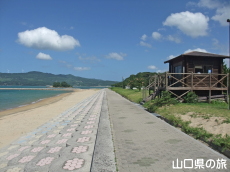 伊上海浜公園YYビーチ350