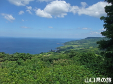 妙見山展望公園