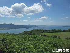 妙見山展望公園