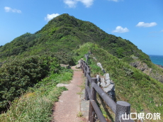 長門川尻岬灯台への遊歩道