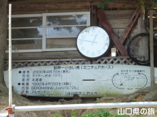 謎のサーフボード